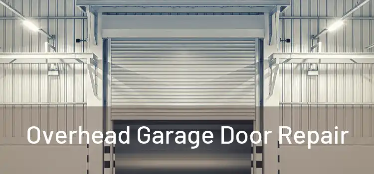  Overhead Garage Door Repair 